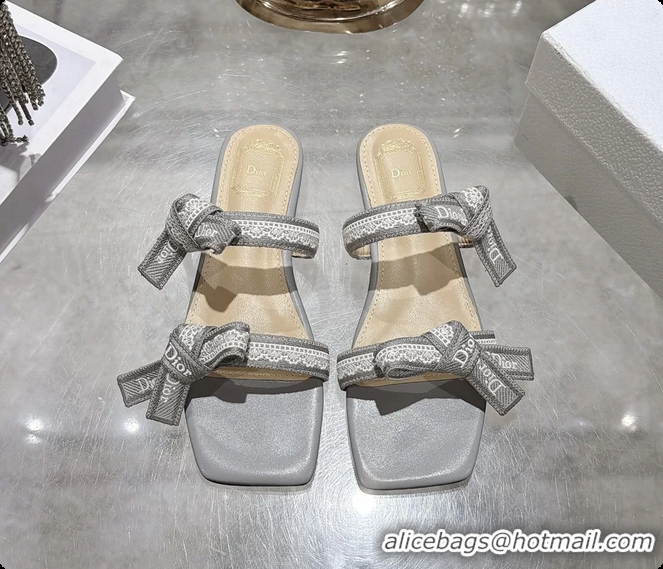 Purchase Dior Jadior Flat Sandals with Straps Light Gray Embroidered Cotton and Lambskin Leather 6063005