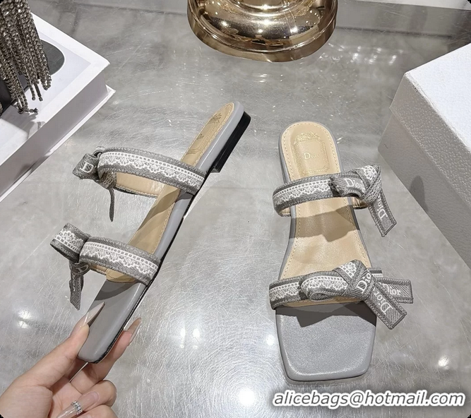 Purchase Dior Jadior Flat Sandals with Straps Light Gray Embroidered Cotton and Lambskin Leather 6063005