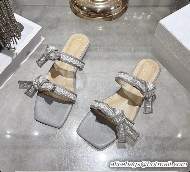 Purchase Dior Jadior Flat Sandals with Straps Light Gray Embroidered Cotton and Lambskin Leather 6063005