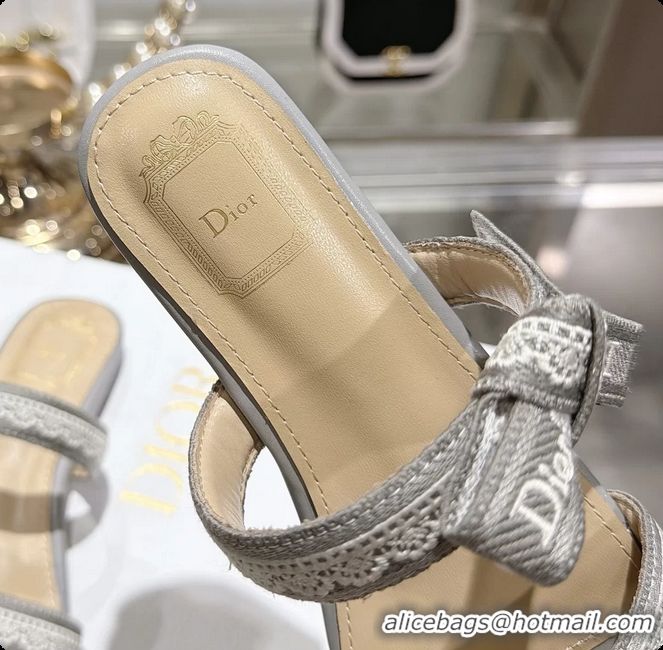 Purchase Dior Jadior Flat Sandals with Straps Light Gray Embroidered Cotton and Lambskin Leather 6063005