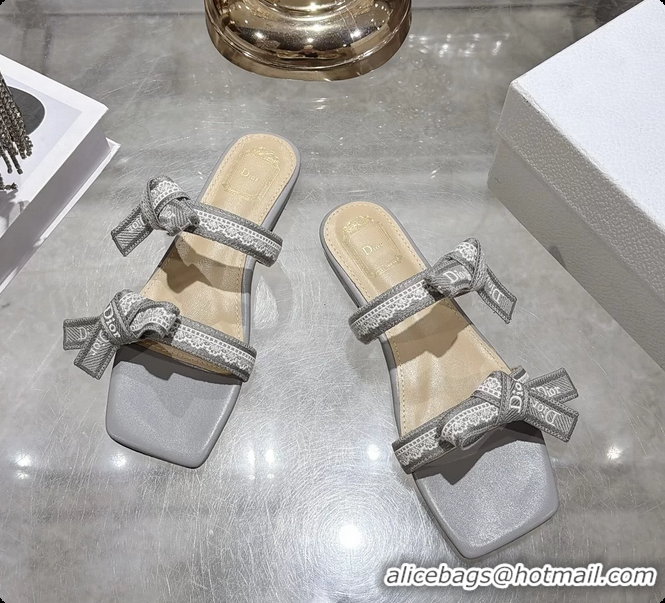 Purchase Dior Jadior Flat Sandals with Straps Light Gray Embroidered Cotton and Lambskin Leather 6063005