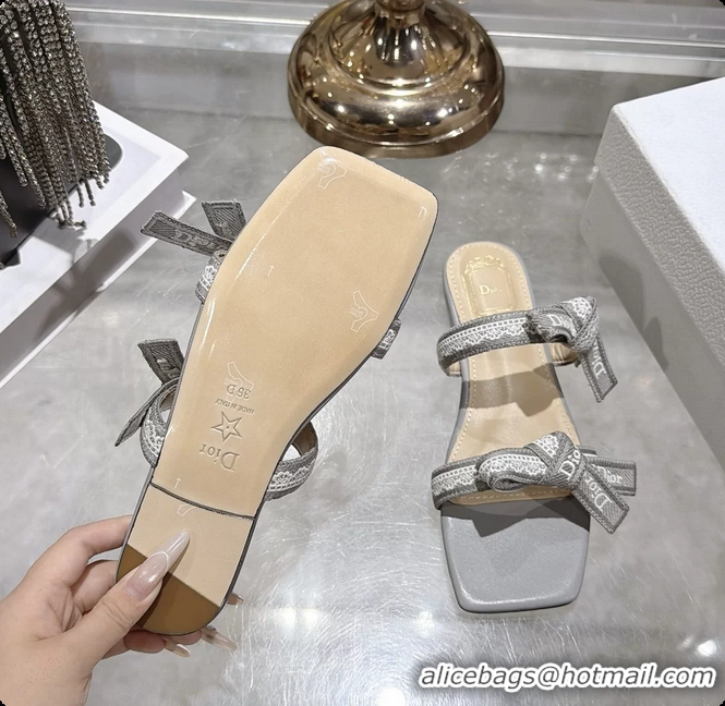 Purchase Dior Jadior Flat Sandals with Straps Light Gray Embroidered Cotton and Lambskin Leather 6063005