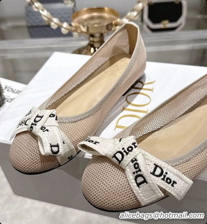 Shop Duplicate Dior Jadior Ballet Flat with Ribbon Gray Technical Fabric and Cotton 6063006