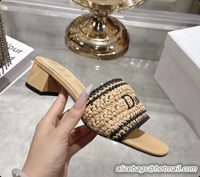 Top Grade Dior Dioriviera Dior Woven Heeled Slides Sandals Beige Crocheted Raffia Effect Technical Fabric 45MM 6063007