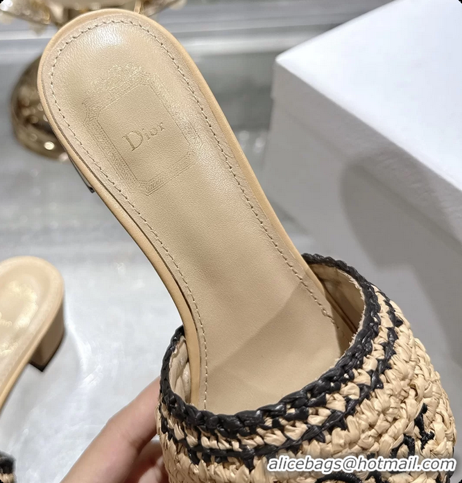 Top Grade Dior Dioriviera Dior Woven Heeled Slides Sandals Beige Crocheted Raffia Effect Technical Fabric 45MM 6063007