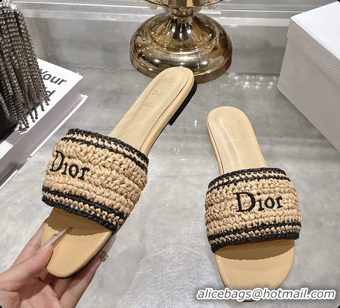 Unique Style Dior Dioriviera Dior Woven Flats Slides Sandals Beige Crocheted Raffia Effect Technical Fabric 6063008