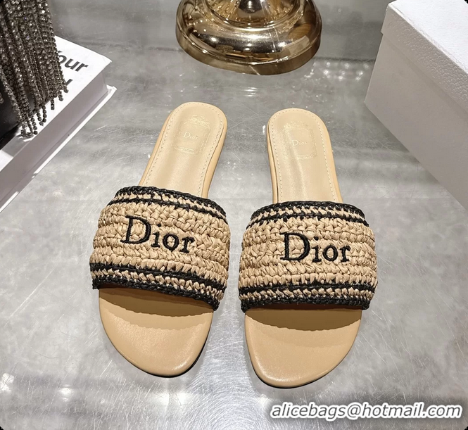 Unique Style Dior Dioriviera Dior Woven Flats Slides Sandals Beige Crocheted Raffia Effect Technical Fabric 6063008