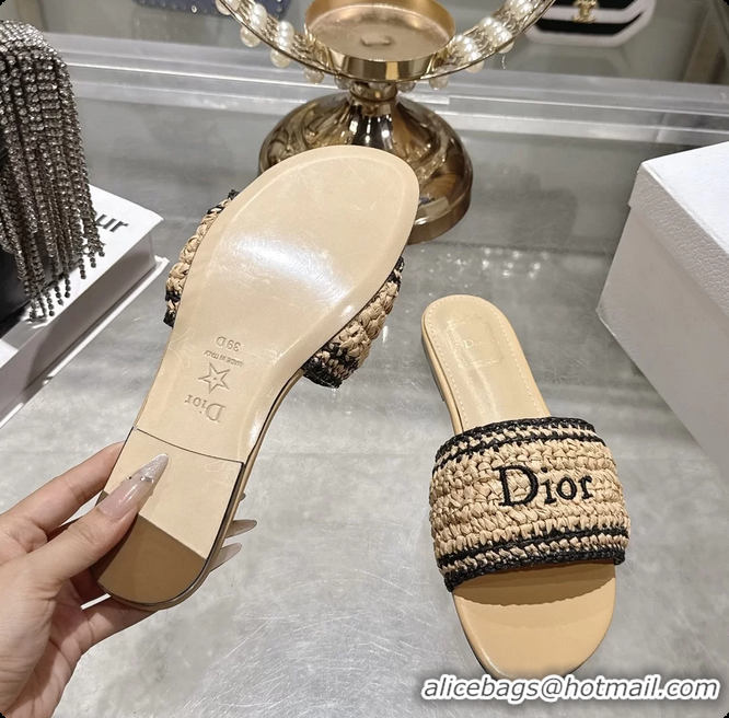 Unique Style Dior Dioriviera Dior Woven Flats Slides Sandals Beige Crocheted Raffia Effect Technical Fabric 6063008