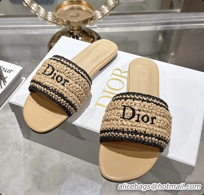 Unique Style Dior Dioriviera Dior Woven Flats Slides Sandals Beige Crocheted Raffia Effect Technical Fabric 6063008