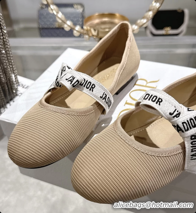 Low Cost Dior Miss Jadior Mary Janes Ballet Flat with Ribbon Light Gray Technical Fabric and Cotton 6063009
