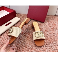 Pretty Style Valentino Vlogo Raffia Flat Slides Sandal Beige 6060911