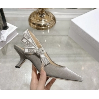 Luxurious Dior Jadior Gray Velvet Slingback Pumps 40MM 6062401