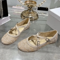 Fashion Dior Very Dior Ballet Flat Shoes Transparent Mesh Embroidered with Beige Millefiori Motif 6062408