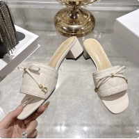 Unique Dior Cannage ...