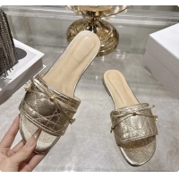 Charming Dior Cannag...