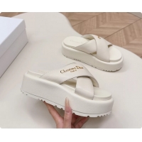 Sumptuous Dior D Lan...