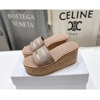 Feminine Dior Dway Platform Slide Sandals Gray Grained Calfskin 6062603