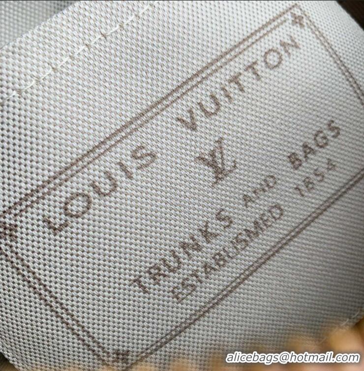 New Design Louis Vuitton Monogram Emblème Striped Canvas Speedy Bandoulière 20 M2A039 Rose Ruban 2026
