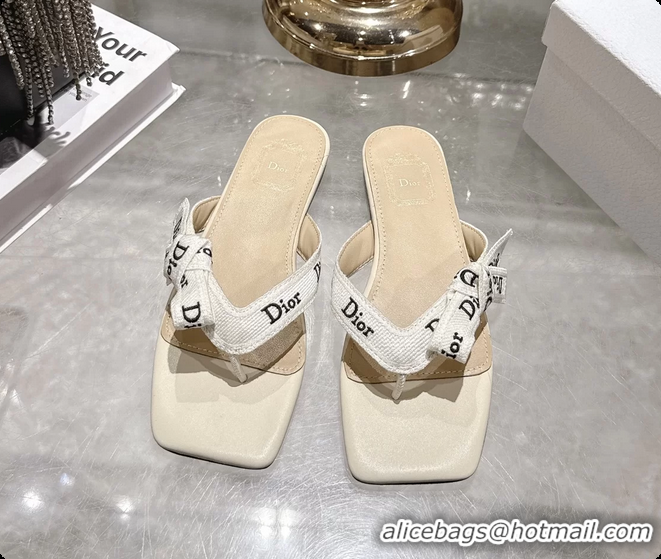 Good Quality Dior Jadior Flat Thong Sandals White Embroidered Cotton and Trench lambskin 6070201