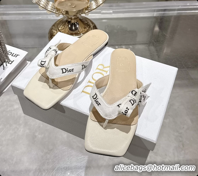 Good Quality Dior Jadior Flat Thong Sandals White Embroidered Cotton and Trench lambskin 6070201