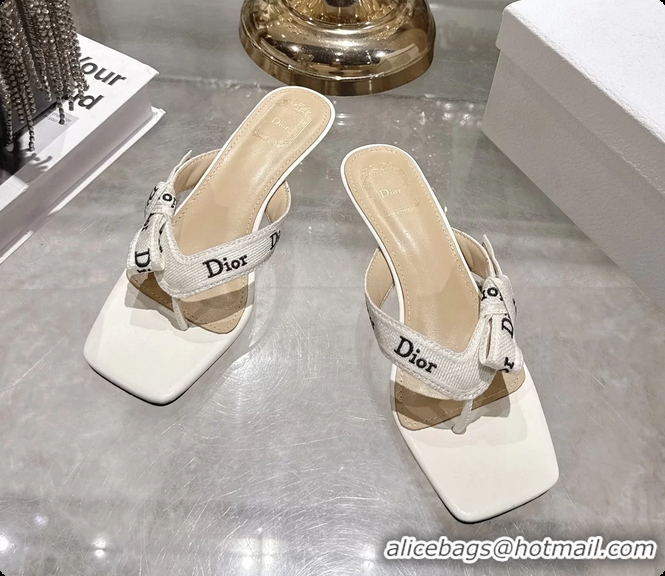 Low Price Dior Jadior Heeled Thong Sandals White Embroidered Cotton and Trench lambskin 6070202
