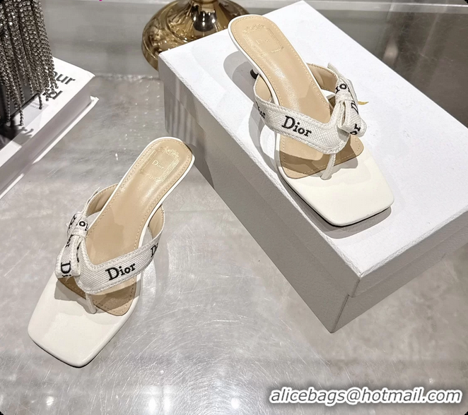 Low Price Dior Jadior Heeled Thong Sandals White Embroidered Cotton and Trench lambskin 6070202