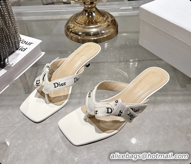 Low Price Dior Jadior Heeled Thong Sandals White Embroidered Cotton and Trench lambskin 6070202