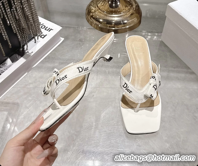 Low Price Dior Jadior Heeled Thong Sandals White Embroidered Cotton and Trench lambskin 6070202