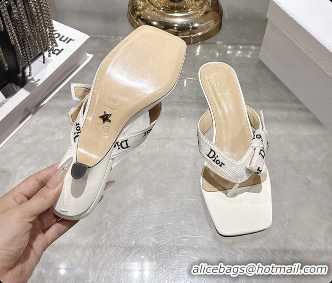 Low Price Dior Jadior Heeled Thong Sandals White Embroidered Cotton and Trench lambskin 6070202