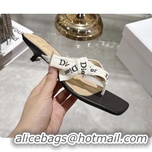 Best Price Dior Jadior Heeled Thong Sandals White Black Embroidered Cotton and Trench lambskin 6070202