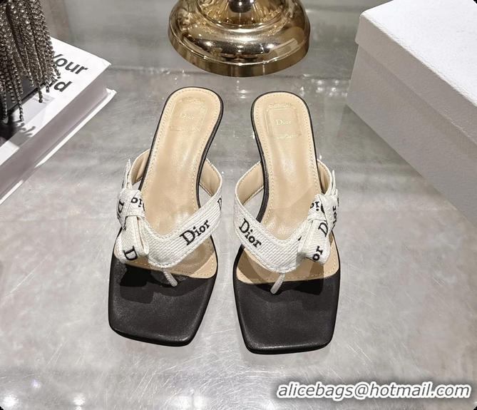 Best Price Dior Jadior Heeled Thong Sandals White Black Embroidered Cotton and Trench lambskin 6070202