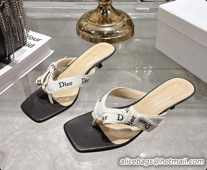 Best Price Dior Jadior Heeled Thong Sandals White Black Embroidered Cotton and Trench lambskin 6070202