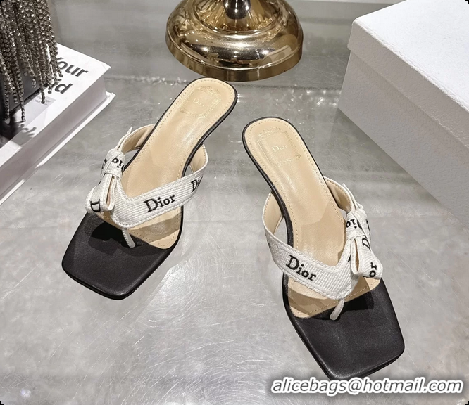 Best Price Dior Jadior Heeled Thong Sandals White Black Embroidered Cotton and Trench lambskin 6070202