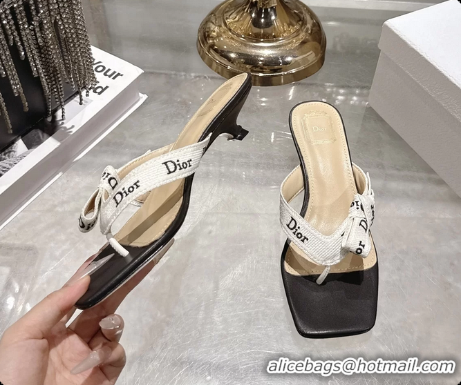 Best Price Dior Jadior Heeled Thong Sandals White Black Embroidered Cotton and Trench lambskin 6070202