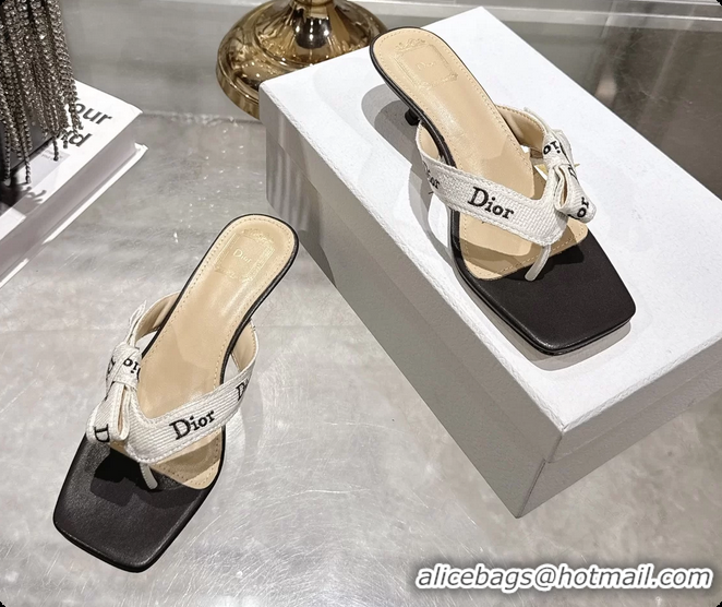 Best Price Dior Jadior Heeled Thong Sandals White Black Embroidered Cotton and Trench lambskin 6070202