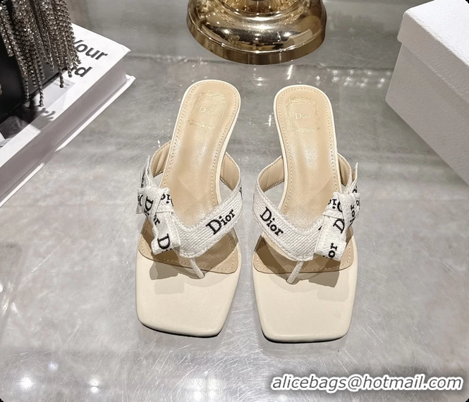 Classic Hot Dior Jadior Heeled Thong Sandals Latte White Embroidered Cotton and Trench lambskin 6070202
