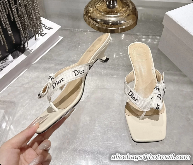 Classic Hot Dior Jadior Heeled Thong Sandals Latte White Embroidered Cotton and Trench lambskin 6070202