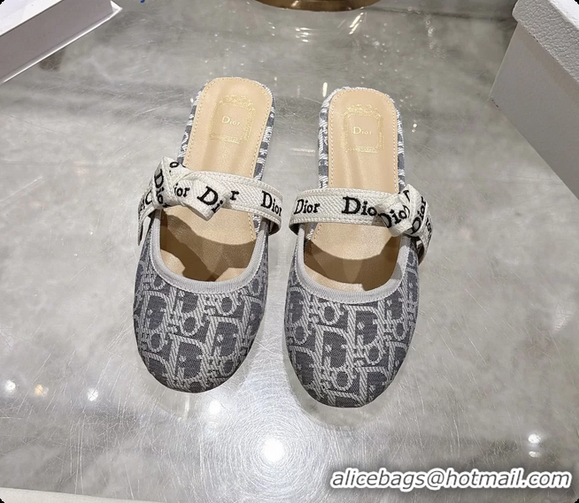 Shop Duplicate Dior Jadior Bow Flats Mules Gray Dior Oblique Denim Fabric 6070206