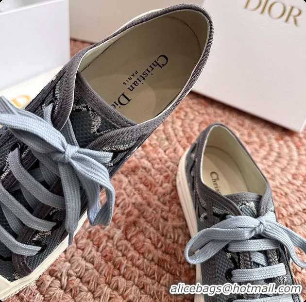 Comfortable Dior WalknDior Platform Sneakers Blue Dior Painted Ribbon Embroidered Cotton 6070207