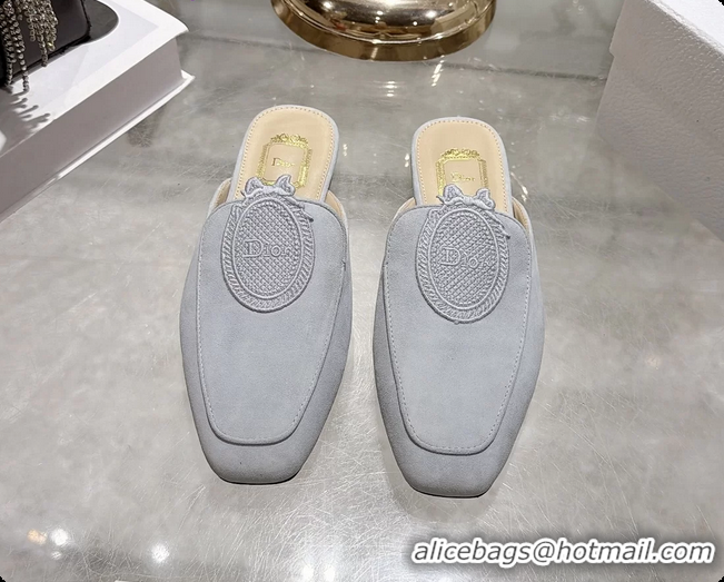 Most Popular Dior Medaillon Flat Mules Sky Blue Suede Leather 6070208
