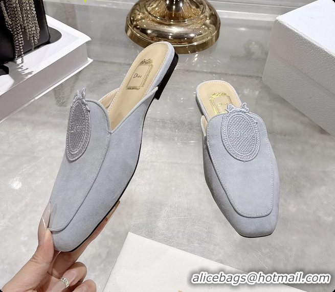 Most Popular Dior Medaillon Flat Mules Sky Blue Suede Leather 6070208