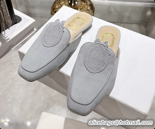 Most Popular Dior Medaillon Flat Mules Sky Blue Suede Leather 6070208