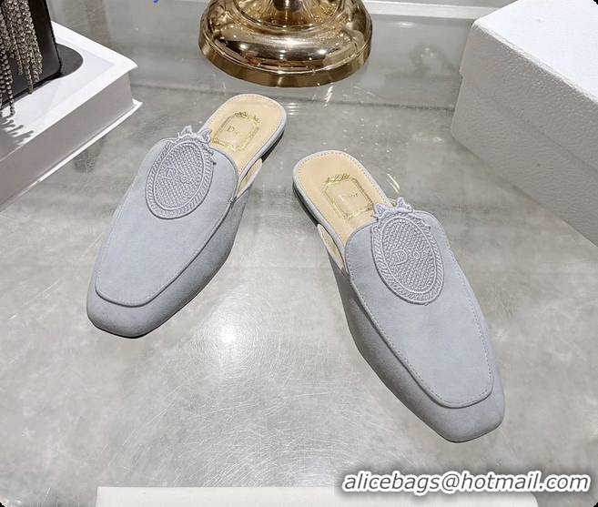 Most Popular Dior Medaillon Flat Mules Sky Blue Suede Leather 6070208