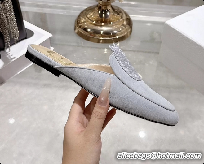 Most Popular Dior Medaillon Flat Mules Sky Blue Suede Leather 6070208