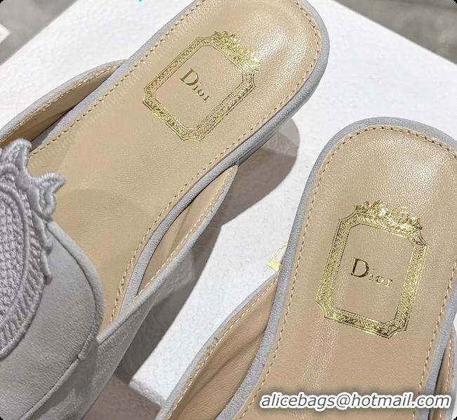 Most Popular Dior Medaillon Flat Mules Sky Blue Suede Leather 6070208