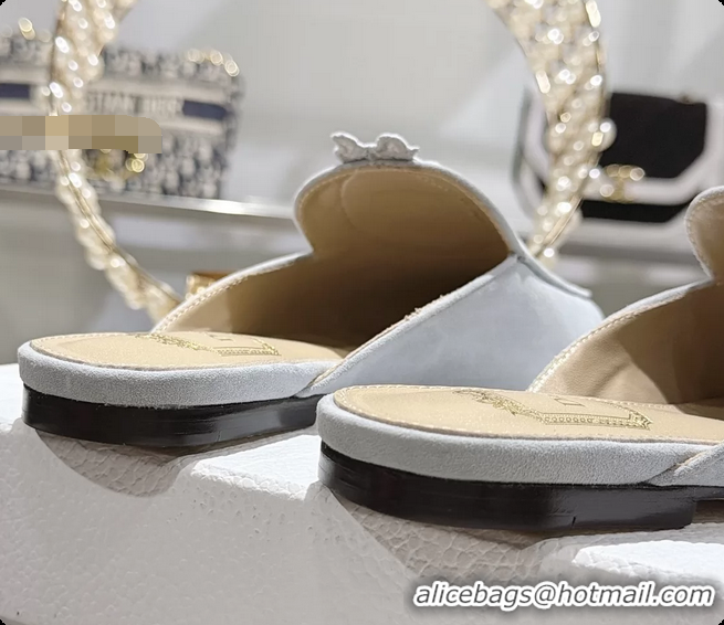 Most Popular Dior Medaillon Flat Mules Sky Blue Suede Leather 6070208
