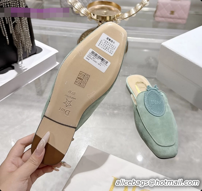 Best Price Dior Medaillon Flat Mules Light Green Suede Leather 6070208