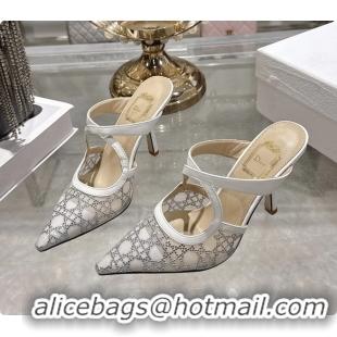 Purchase Dior Capture Pumps White Transparent Mesh with Silver Tone 95MM 6070210