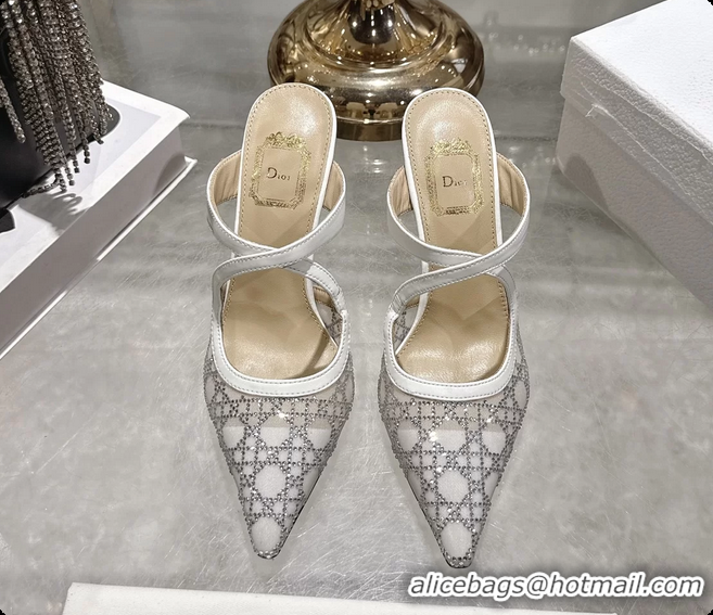 Purchase Dior Capture Pumps White Transparent Mesh with Silver Tone 95MM 6070210