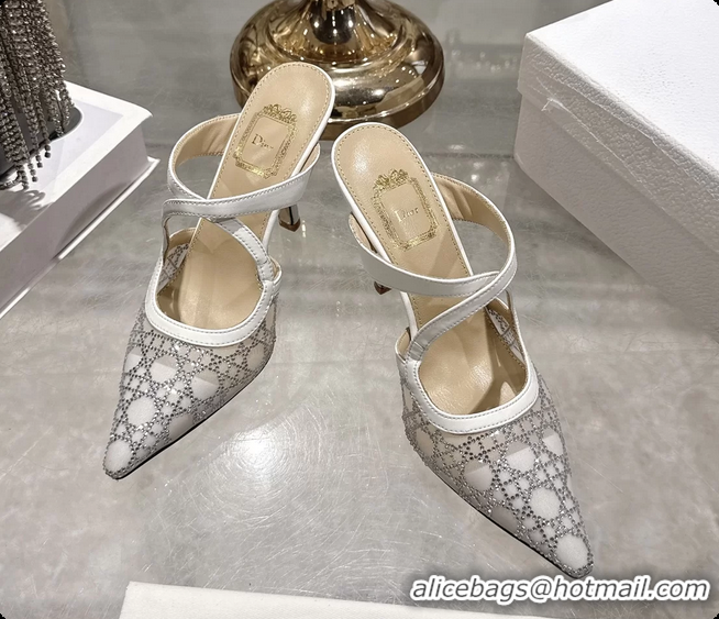 Purchase Dior Capture Pumps White Transparent Mesh with Silver Tone 95MM 6070210